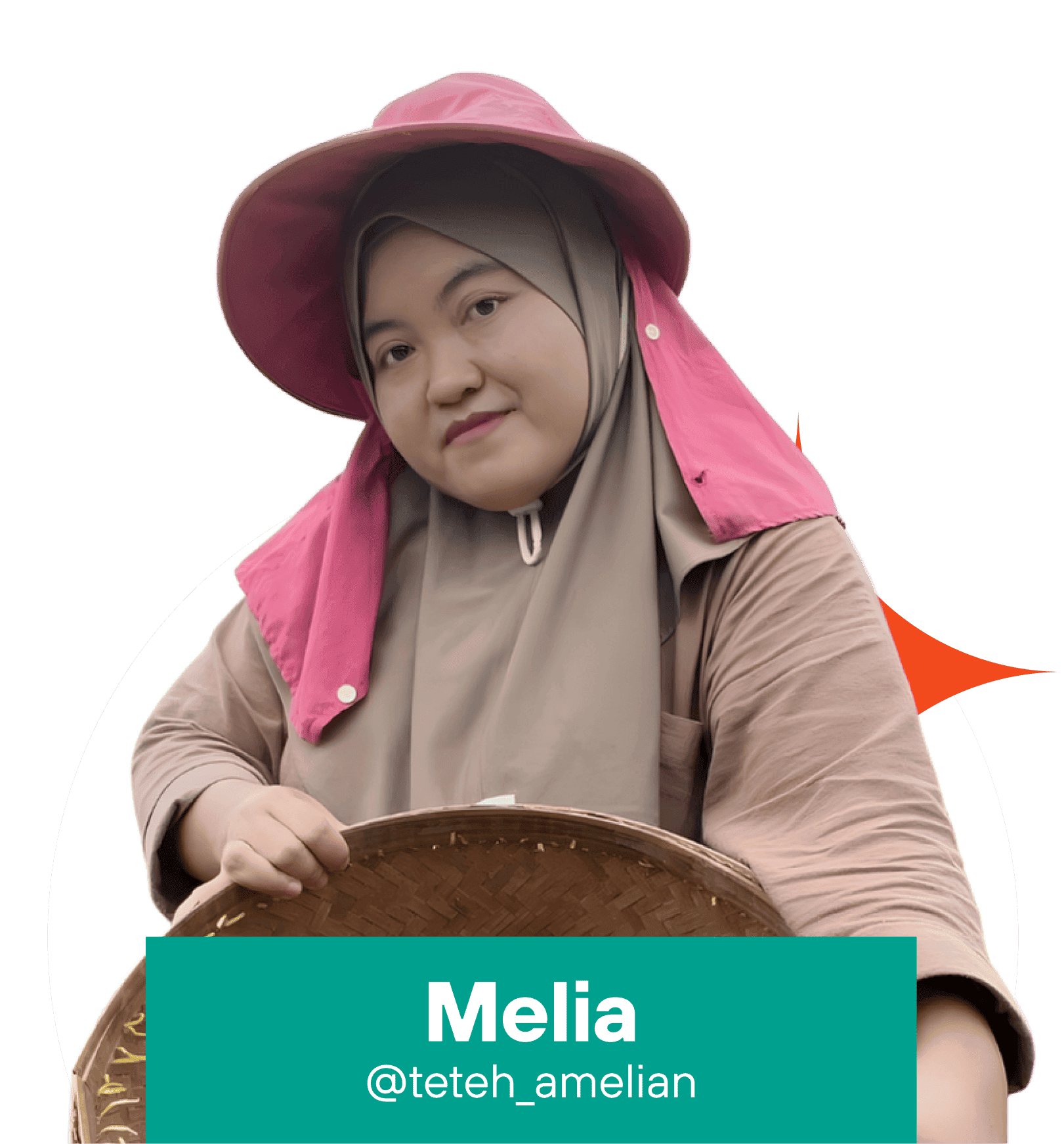 Melia Amelia