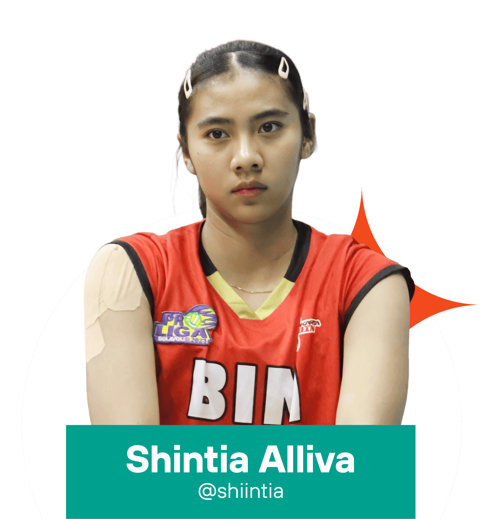 Shintia Alliva Mauludina